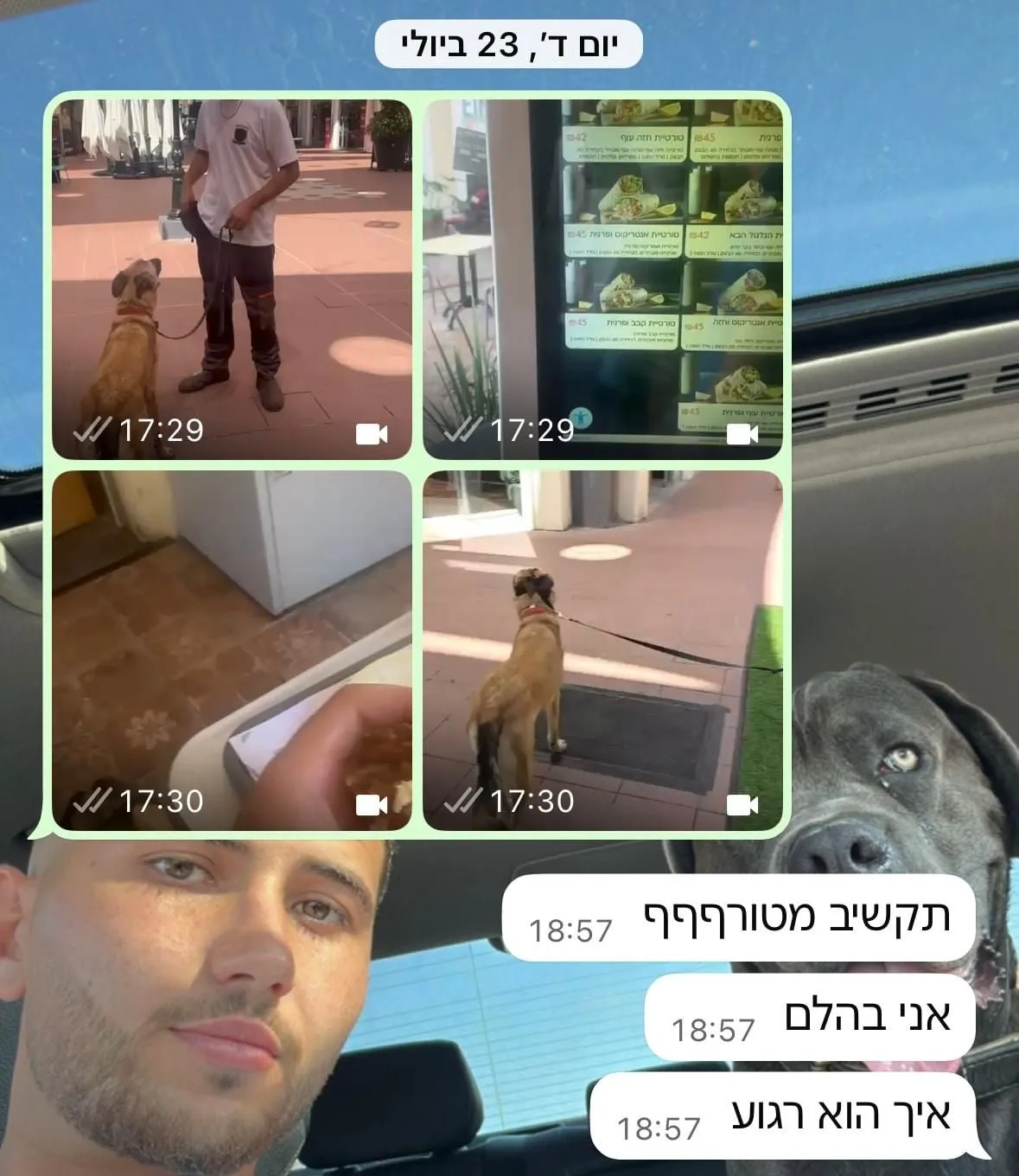 סרטונים מיציאה עם הכלב, והתגובות של הלקוחה: "תקשיב מטורףףף", "אני בהלם", "איך הוא רגוע"